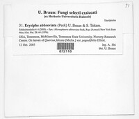 Image Associated With the Occurence